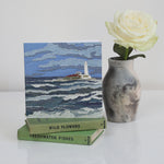 Load image into Gallery viewer, Storm over St Mary&#39;s Lighthouse, Whitley Bay card
