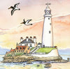 St Mary’s Lighthouse Mounted Print